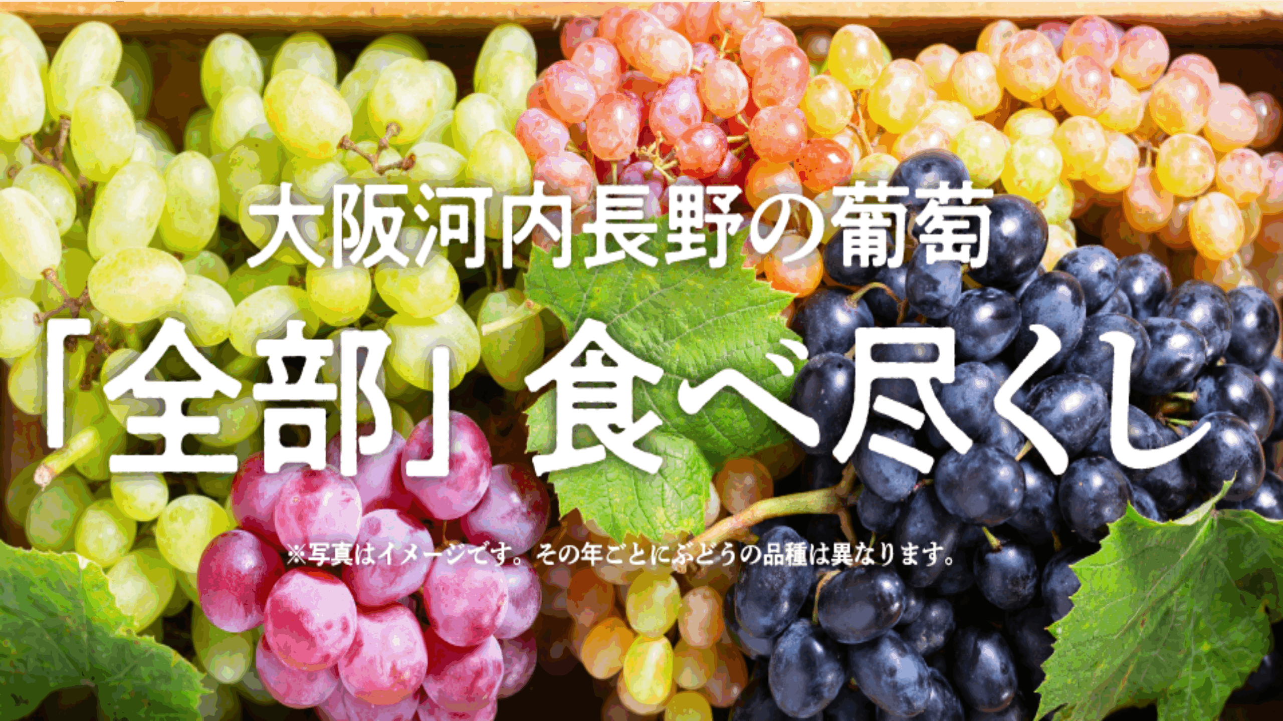 header_image